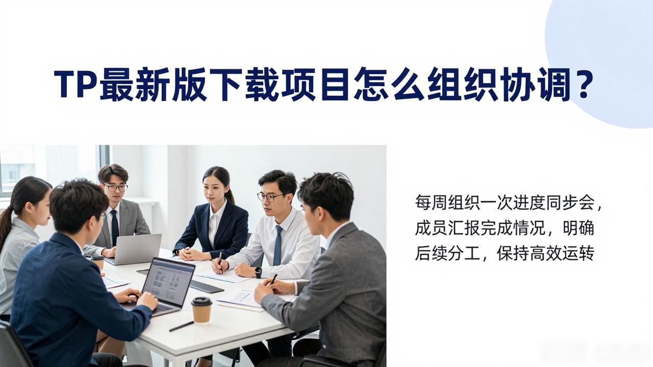 TP最新版下载项目怎么组织协调？