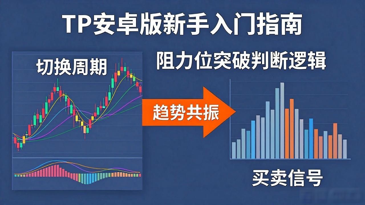 TP安卓正式版新手入门指南